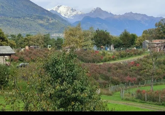 Piuma Della Pimpa Morbegno